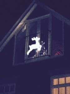 A reindeer flying through the air at my daughter's house...